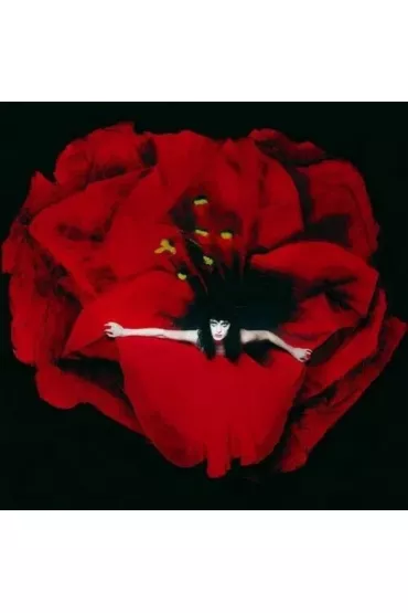 Adore (vinyl) - Smashing Pumpkins