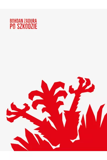 Po szkodzie - Bohdan Zadura