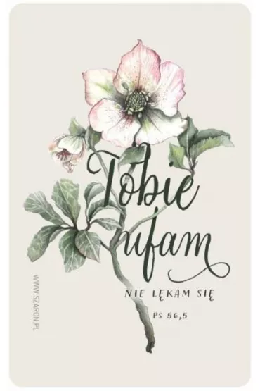 Szaron Magnes na lod�wk� - Tobie ufam