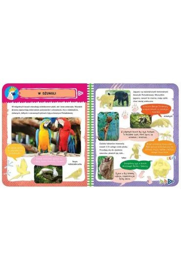 ALBUM Z NAKLEJKAMI. EGZOTYCZNE ZWIERZ�TA. CIEKAWOSTKI DLA DZIECI - Agnieszka Bator