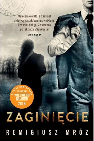 Zagini�cie. Joanna Chy�ka. Tom 2 (pocket) - Remigiusz Mr�z
