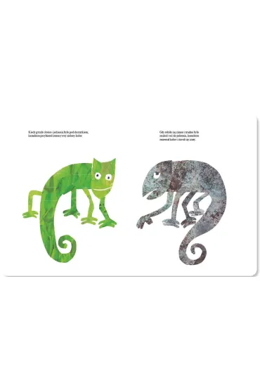 Kameleon - Eric Carle