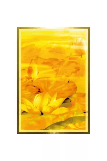 Wisdom of the Golden Path, karty do wr�enia - Toni Salerno Carmine, Yuehui Tang