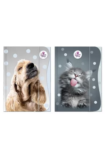 Beniamin Teczka z gumk� A4 The Sweet Pets
