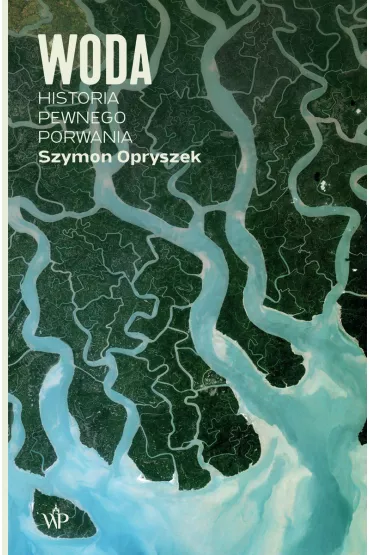Woda. Historia pewnego porwania - Szymon Opryszek
