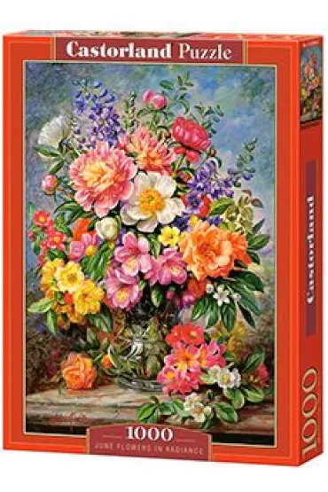 Puzzle 1000 el. June Flowers in Radiance Castorland