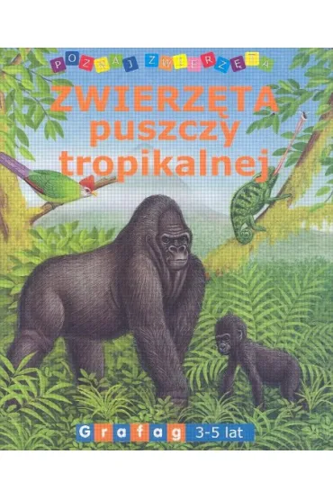 Zwierz�ta puszczy tropikalnej