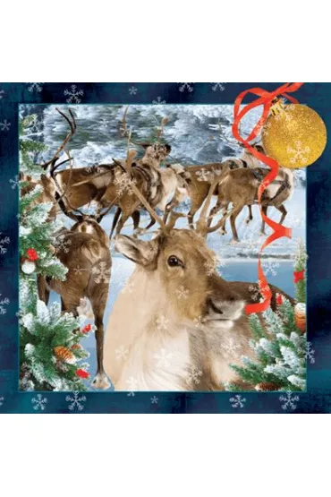 Worth Keeping Poczt�wka 3D - Rudolf