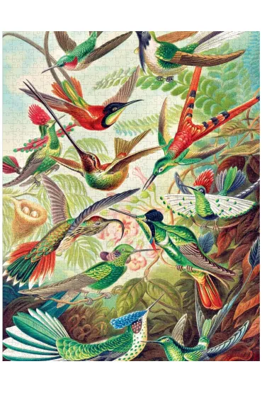 Puzzle 1000 el. Imagination Ernst Haeckel - Kolibry Good Loot