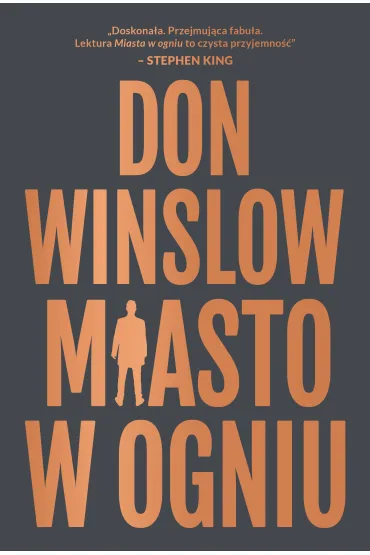 Miasto w ogniu. Danny Ryan. Tom 1 - Don Winslow