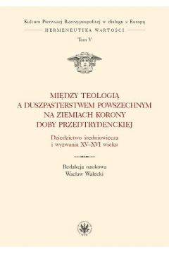 eBook Midzy teologi a duszpasterstwem powszechnym na ziemiach Korony doby przedtrydenckiej. Tom V pdf