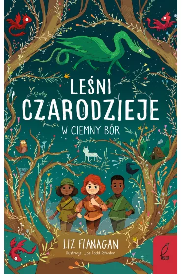 eBook Leni czarodzieje. W ciemny br. Tom 1 mobi epub - Liz Flanagan