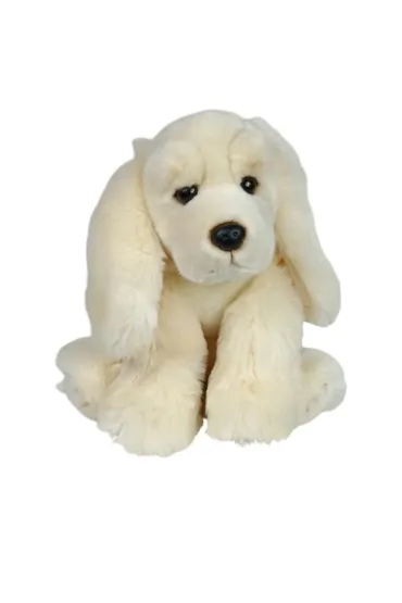 Spaniel jasny Dubi