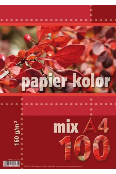 Kreska, Papier kolorowy A4, 100 kartek, 160 g/m2, wielokolorowy