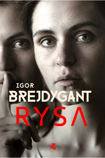 Rysa. Monika Brzozowska. Tom 1 - Igor Brejdygant