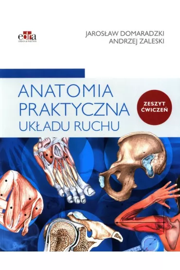 Anatomia praktyczna uk�adu ruchu. �wiczenia - Jaros�aw Domaradzki, Andrzej Zaleski