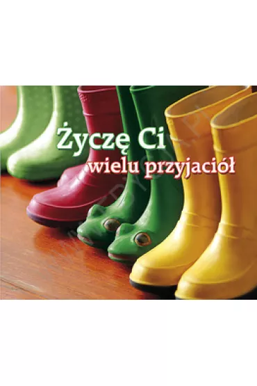 �ycz� Ci wielu przyjaci�. Pere�ka 213
