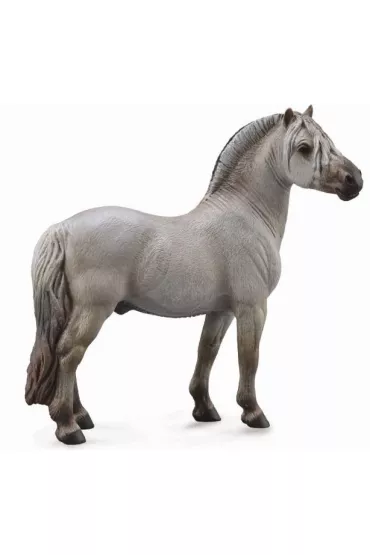 Ko� Fiord Stallion Grey