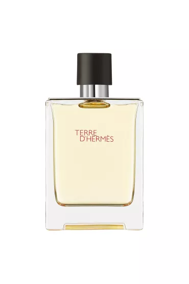 Hermes Woda toaletowa dla m�czyzn Terre D 100 ml
