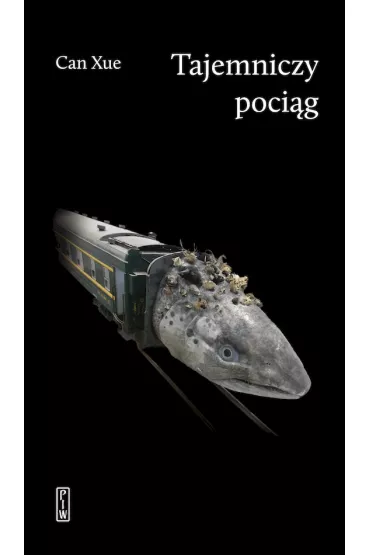 Tajemniczy poci�g - Can Xue