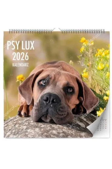 Kalpol.bis Kalendarz �cienny 2026 Lux psy