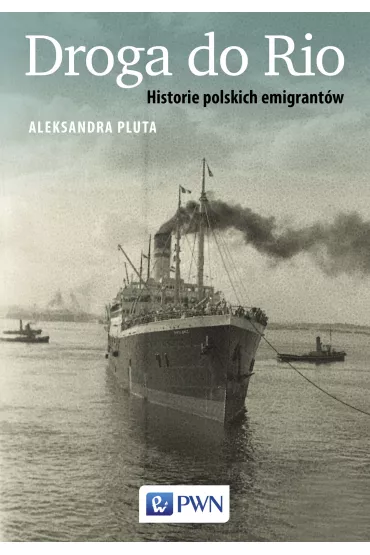 Droga do Rio. Historie polskich emigrant�w - Aleksandra Pluta
