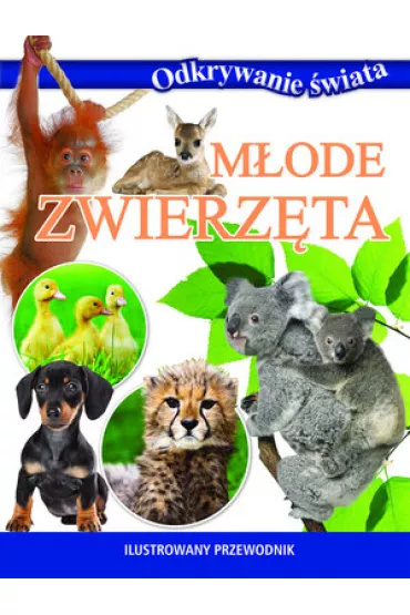 Odkrywanie �wiata. M�ode zwierz�ta