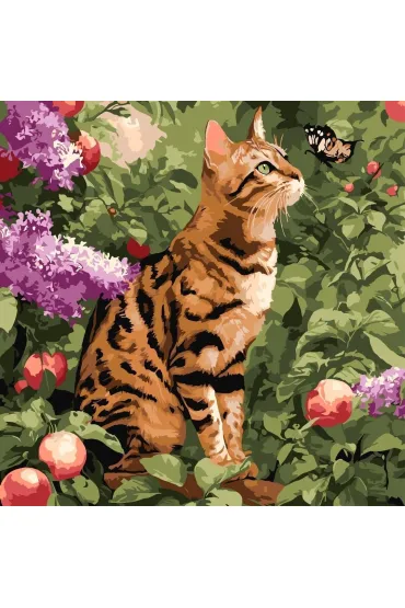 Ideyka Malowanie po numerach - Kot bengalski 40x40cm