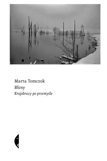 Blizny. Krajobrazy po przemy�le - Marta Tomczok
