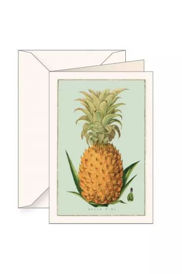 Tassotti Karnet B6 + koperta 5960 Ananas