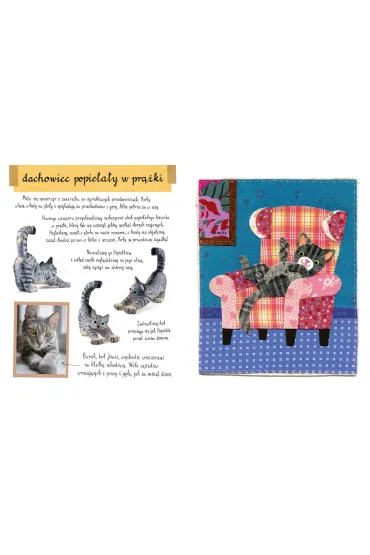 Ma�y atlas kot�w (i kociak�w) Ewy i Paw�a Pawlak�w - Ewa Kozyra-Pawlak, Pawe� Pawlak