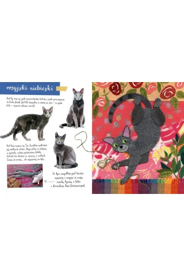 Ma�y atlas kot�w (i kociak�w) Ewy i Paw�a Pawlak�w - Ewa Kozyra-Pawlak, Pawe� Pawlak