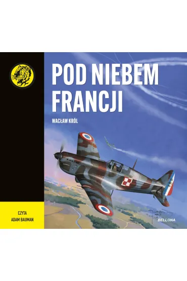 Audiobook Pod niebem Francji mp3 - Wac�aw Kr�l