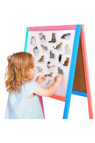 Magnesy rasy kotw 22 szt.