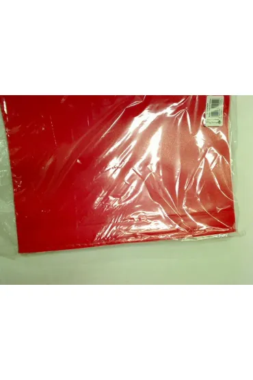Panta Plast Skoroszyt A4 PP 10 szt.