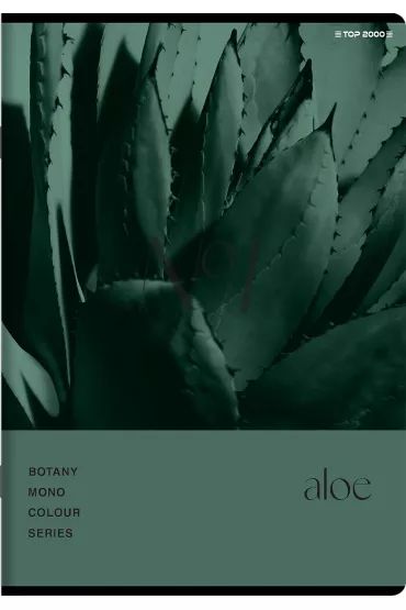 Zeszyt Top 2000 Botany A5 kratka, 70g 96 kartek