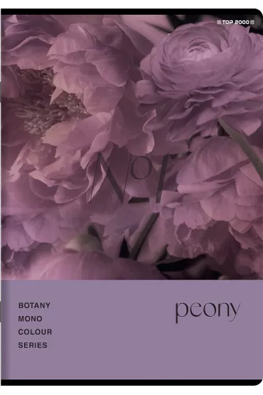 Zeszyt Top 2000 Botany A5 kratka, 70g 96 kartek
