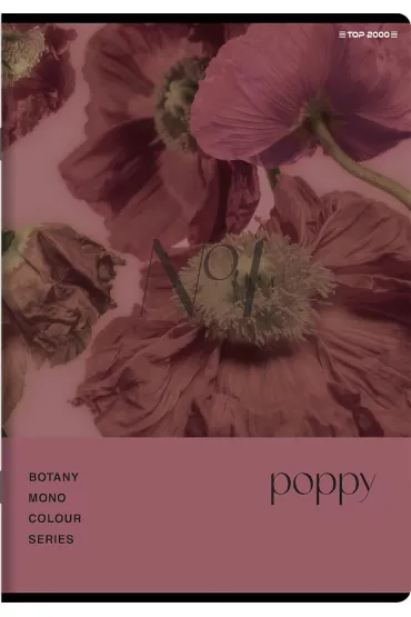 Zeszyt Top 2000 Botany A5 kratka, 70g 96 kartek