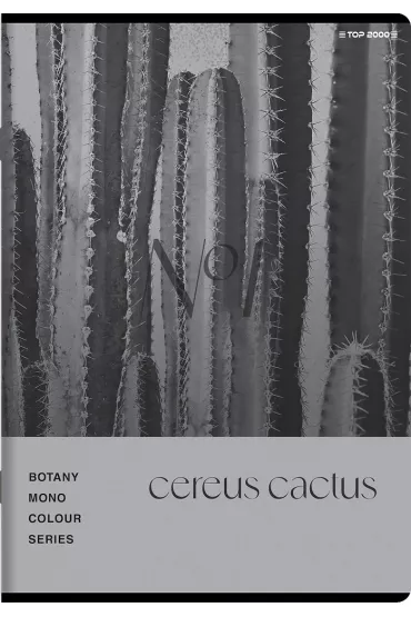 Zeszyt Top 2000 Botany A5 kratka, 70g 96 kartek