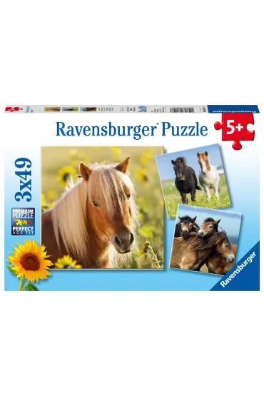 Puzzle 3x49 el. Konie Ravensburger
