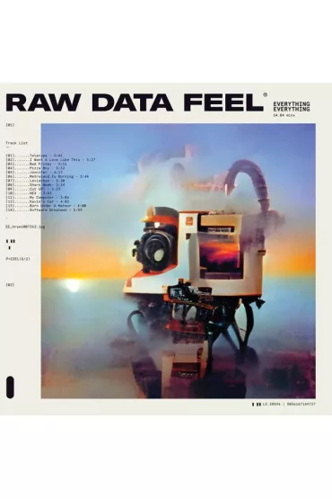 Raw Data Feel (CD) - Everything Everything