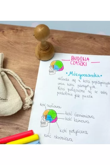 Stempel m�zgoczaszka Colorado