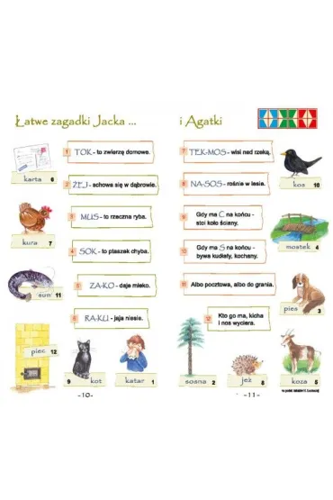 PUS �atwe zagadki dla Jacka i Agatki 2 Najbli�sze otoczenie dziecka - Bogus�aw �widnicki, Maria Krupska