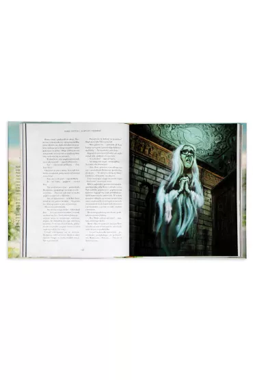 Harry Potter i Komnata Tajemnic. Wydanie ilustrowane - Joanne Kathleen Rowling