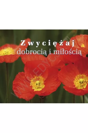 Zwyci�aj dobroci� i mi�o�ci�. Pere�ka 193