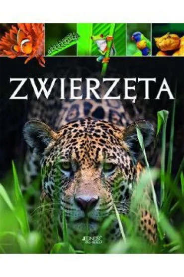 Zwierz�ta