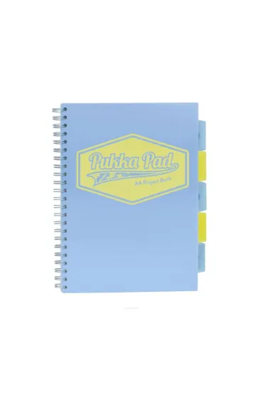 Pilot Project Book A4 Pastel kratka 100 kartek