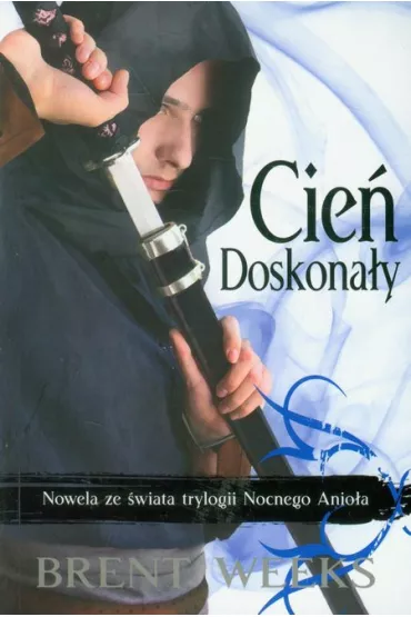 Cie� doskona�y. Anio� Nocy - Brent Weeks
