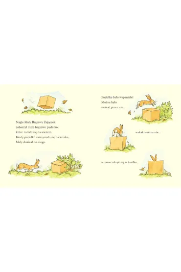Nawet nie wiesz, jak bardzo ci� kocham kiedy jest jesie� - Sam McBratney, Anita  Jeram