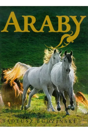 Araby. Dzieci wiatru - Tadeusz Budzi�ski